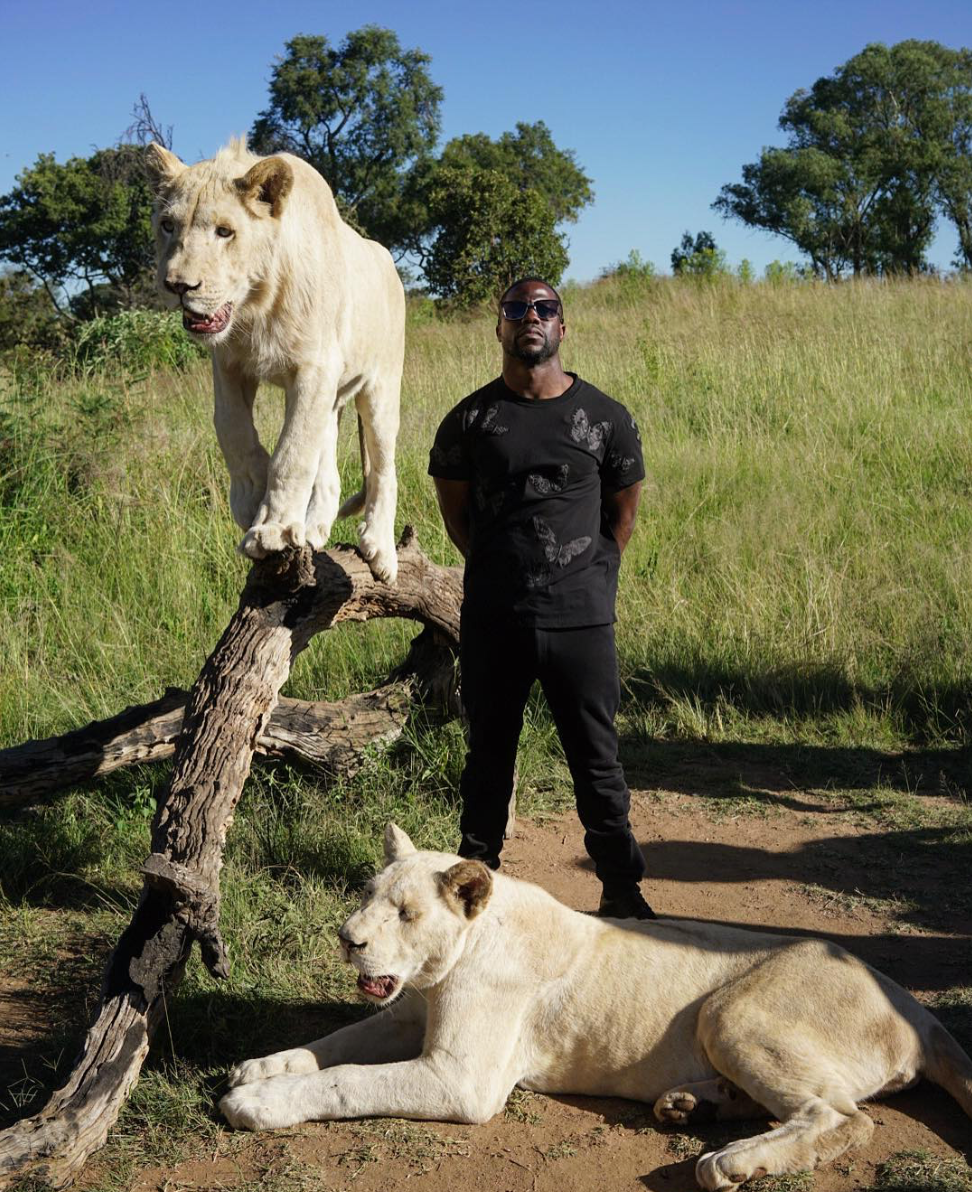 These Stars Did It Big On Vacation 
